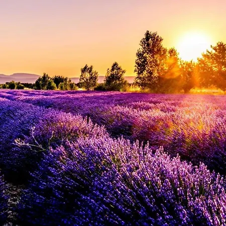 Luxury Coastal Dreams * スヴェティ・ヴラス