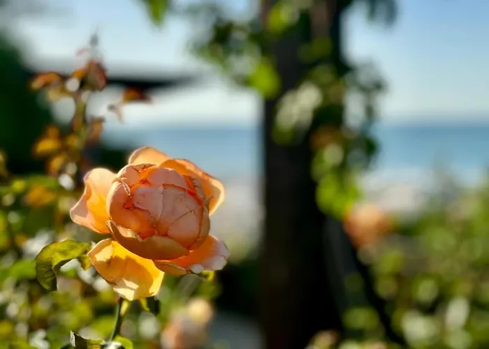 Luxury Coastal Dreams Appartement