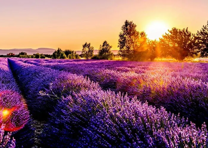 Luxury Coastal Dreams * Sveti Vlas